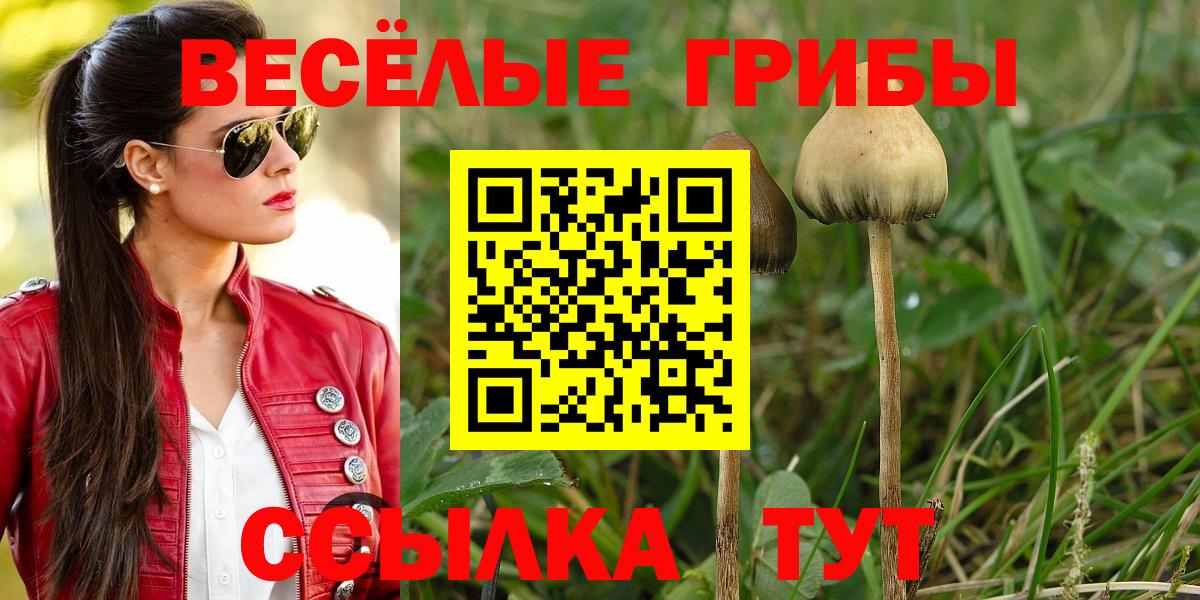 Галлюциногенные грибы Cubensis Зеленогорск